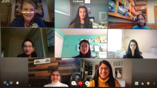 9 women in screen presentation